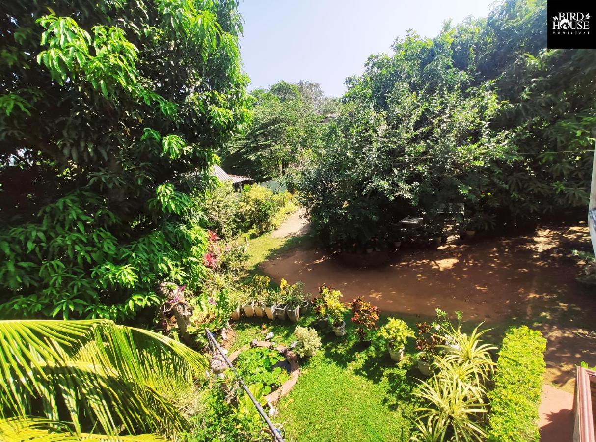Bird House Homestays Tangalle Kültér fotó